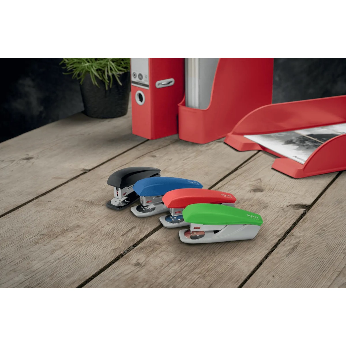 Les quatre couleurs de l'agrafeuse de bureau LEITZ NeXXt Recycle 5606 rouge sur un bureau en bois.