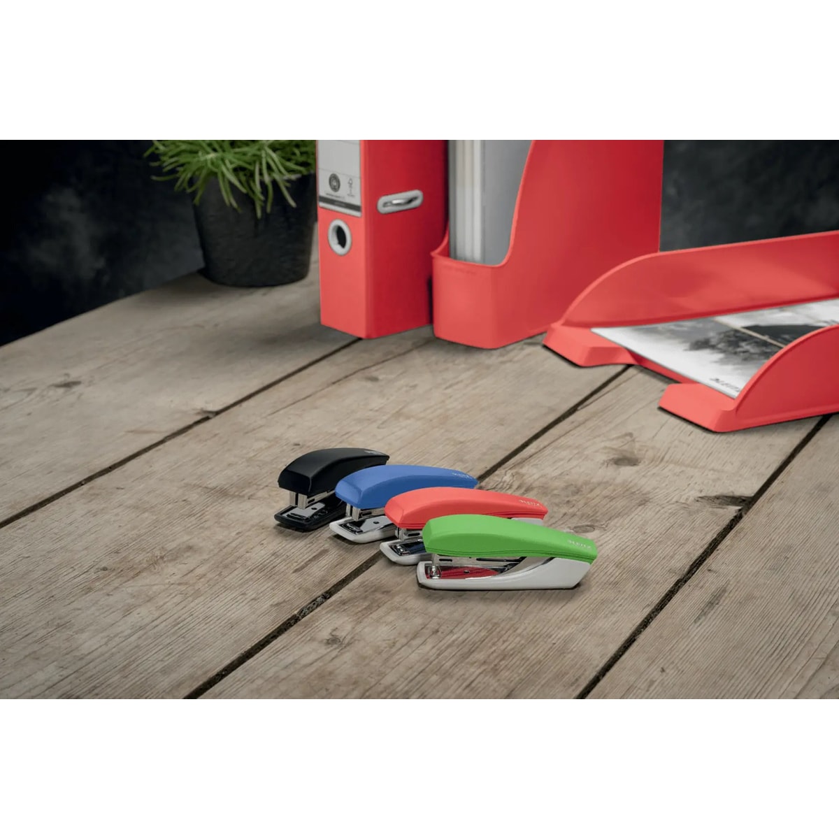 Les quatre couleurs de la mini agrafeuse LEITZ NeXXt Recycle 5617 rouge sur un bureau en bois.